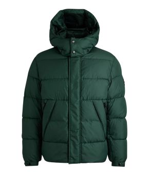 boss-124139-groen 1